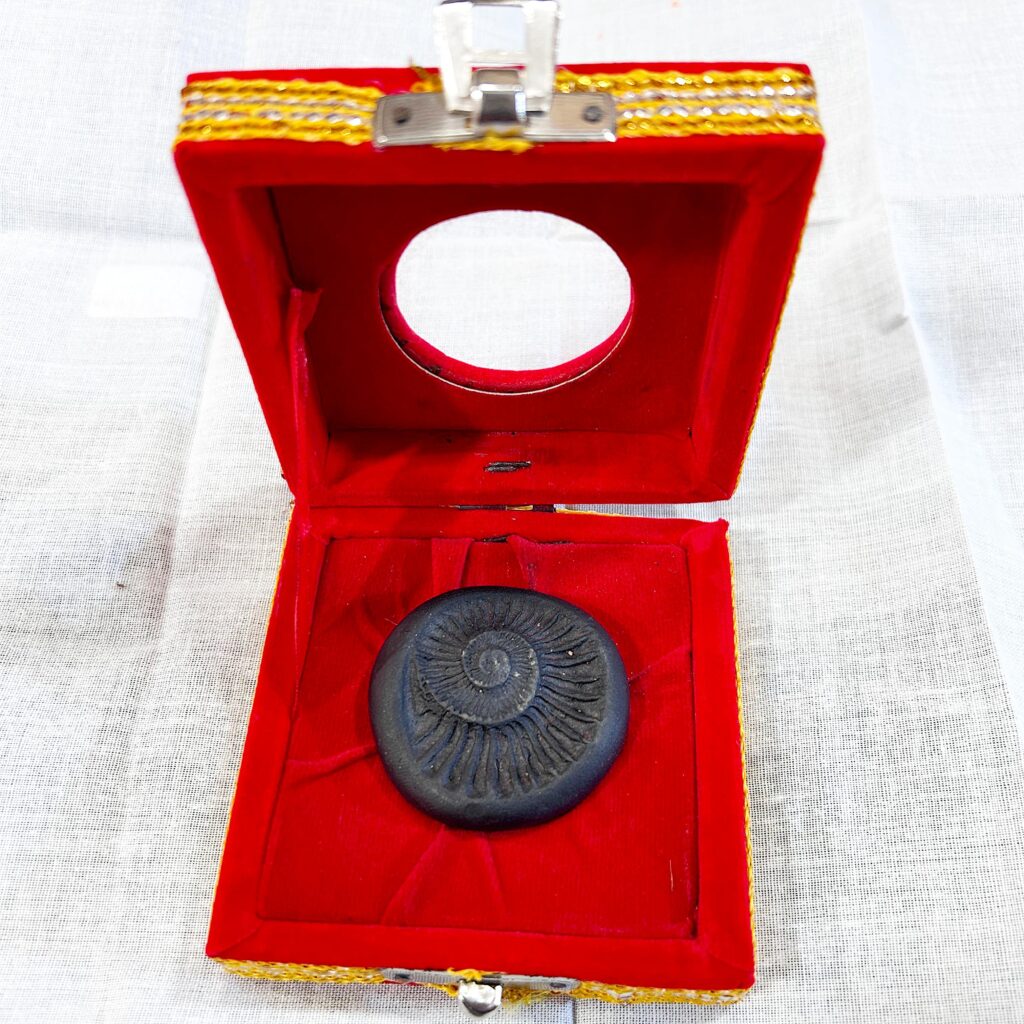 shaligram