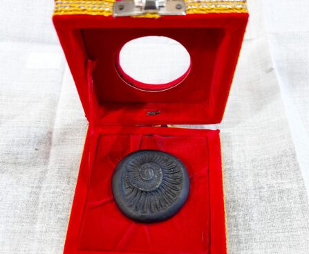 shaligram